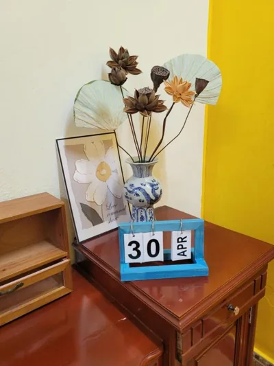 Tiny Garden House Cat Ba – Photos 13